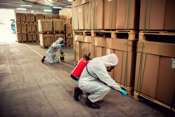 Best Flea Control Services  in Acton, CA