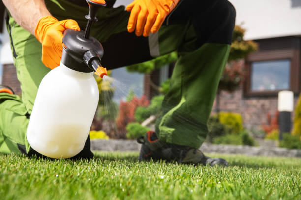 Best Pest Removal Services  in Acton, CA