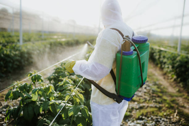 Best Mosquito Control Services  in Acton, CA